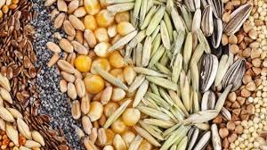 Almacen Saludable